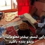 نانوایی تبسم | توزیع نان برای خانواده های نیازمند | Kabul, Afghanistan