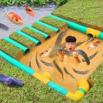 Making Fish Traps In The Underground Using PVC Pipes, Rice Bran & Chicken Eggs