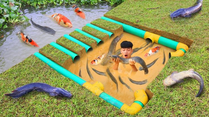Making Fish Traps In The Underground Using PVC Pipes, Rice Bran & Chicken Eggs
