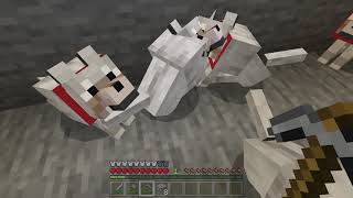 Minecraft 2022 ToughERay exploring underground house