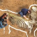 They Found Underground What No One Was Supposed to See