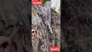 Underground house ? amazing house_# shorts #youtube shorts