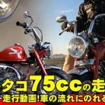 【ホンダモンキーVol87】走行編！75ccハイカムモンキーの走り、バイパスで車の流れにのれるか検証！