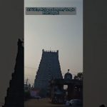 உலகின் முதல் மிகப் பெரிய தெப்பகுளம்| World Largest Temple Tank| Harithra Nathi@Shorts