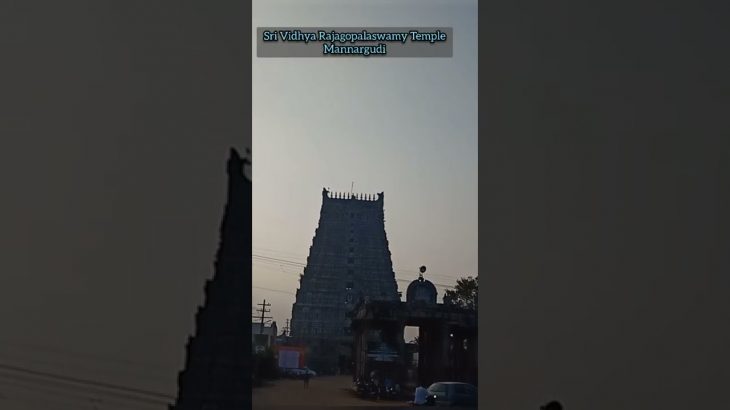 உலகின் முதல் மிகப் பெரிய தெப்பகுளம்| World Largest Temple Tank| Harithra Nathi@Shorts