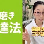 【歯磨き苦手】上手な磨き方をなおこ先生が教えます！ #shorts