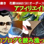 【他人のブログ】ピカピカ靴磨きさんの過去記事を読み漁る