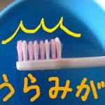 甲羅磨きは山〇りカットで