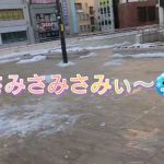 小銭磨きヤマさん(３)                                 ５円玉磨き     松戸神社参拝      甥っ子高速参拝おまけ編