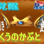 【星ドラ】超覚醒天空の兜300磨きがぶっ壊れてた・・・
