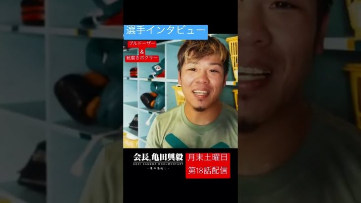 【3150ボクサー】  ブルドーザー&靴磨きボクサー