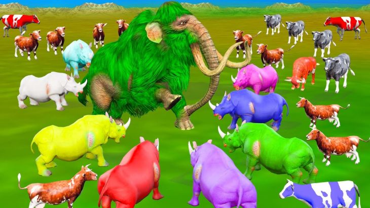 5 Zombie Mammoth Saves Cow Life Vs 5 Zombie Rhino Epic Fight Vs Mammoth Elephant Epic Battle Fight