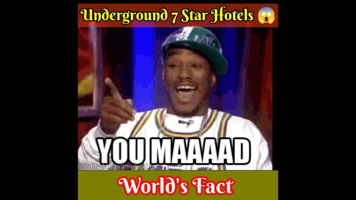 7 Star ? Luxurious underground House ?made by@MR INDIAN HACKER @The Experiment TV | #shorts #short