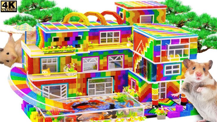 DIY – Construction of Rainbow Resort with Swimming Pool from Magnetic Balls For Hamster