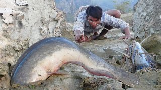 FINDING FISH UNDER THE ROCKS | Find Fish Under The Rocks In Dry Place River Side