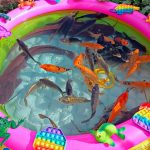 Mancing ikan hias dikolam, ikan lele, ikan cupang, ikan koi, ikan mas, kura kura asli, hiu.part285