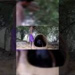 Primitive building #shorts #бассейны #примитивные технология   #своими руками #строительство