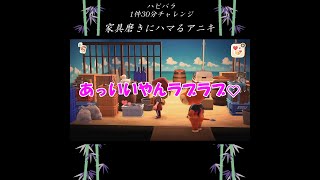 【あつ森】【ハピパラ】家具磨きにハマるアニキ【ちささこアニキの切り抜き動画】#Shorts