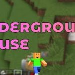 UNDERGROUND HOUSE