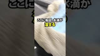 #shorts ジミ放置すると塗装が痛む！？ウォータースポットの簡単な取り方 ！