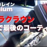 【ガラスコーティング】傷だらけのクジラクラウンを磨く【洗車】