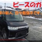 【ピースのガクト】業者オークションから落札してきた車達の紹介♪ガクトコーナーまだまだ頑張ります！