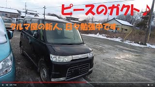 【ピースのガクト】業者オークションから落札してきた車達の紹介♪ガクトコーナーまだまだ頑張ります！