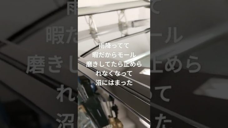 暇だからモール磨き