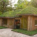 16Days Building Underground House,grass roof with Decoration Underground Bedroom