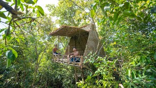 Amazing! Build The Most Creative Grass Roof Tree House in the Wood by Ancient Skills