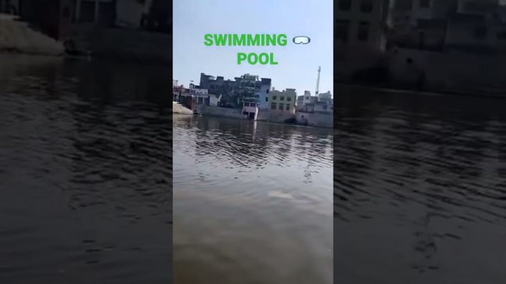 BEST SWIMMING POOL EVER ?