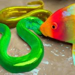 Baby Fish Bon Bon Eel | Colorful Koi Rainbow Fish Carp Underground Cooking