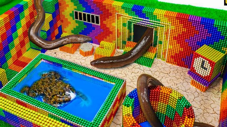 Build Underground Swimming Pool, Underground House For Eel and Frog From Magnetic Balls #685