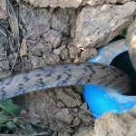 Easy Unique Underground Snake Trap – Creative Building Deep Hole Trap To Catch Long Snake at Wild