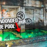 Finding Fish In ABANDONED TIDE POOL for My SALTWATER POND! (5000 Gallons)