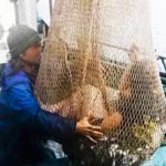 Fisherman Captures in Thailand What No One Was Supposed to See