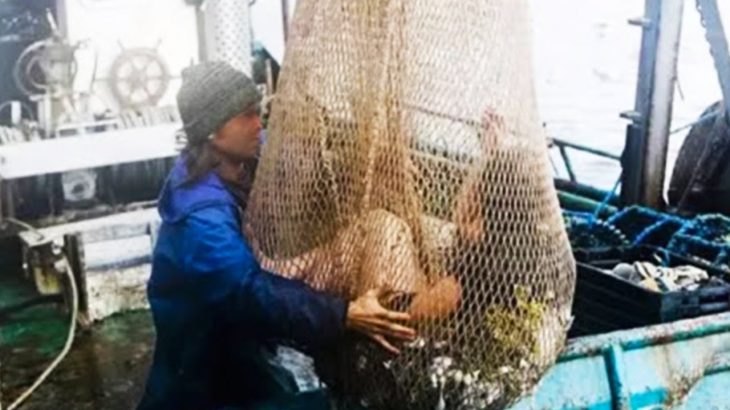Fisherman Captures in Thailand What No One Was Supposed to See