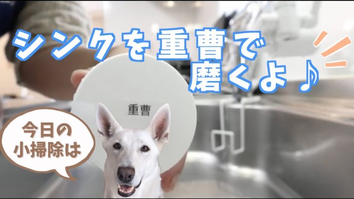 【今日の小掃除】重曹でシンク磨き#Shorts