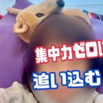 【柴犬 もみさん】編集させない技に磨きがかかる！可愛すぎて無理　The Shiba Inu  Momisan　that disturbs the owner is cute