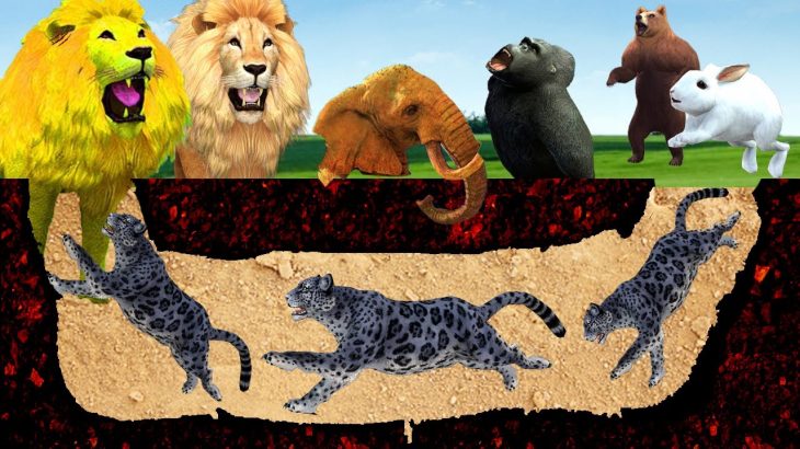 Underground Cave House भूमिगत गुफा घर/चिता का जंगल पर केहर और खरगोश की चतुराई Rabbit Chita ki Kahani