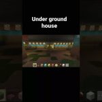 Underground house #mainecraft #shorts