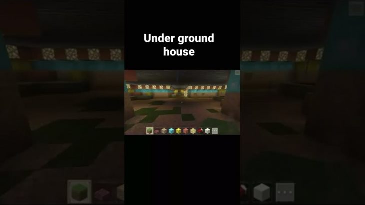 Underground house #mainecraft #shorts