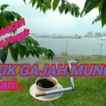Waduk Gajah Mungkur wonogiri ||waduk sermo||waduk sempor||waduk cengklik park||mancing mania