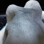 ソリッド ブラス(真鍮)Zippo の簡単な磨き方☝️?