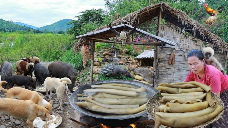 survival in the rainforest- found skin beef for cook with banana flower -Eating delicious HD