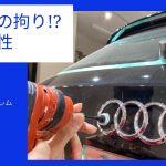 磨きポリッシュ職人【こだわり】細部まで綺麗にしないと・・・コーテイング職人のこだわり。神奈川県川崎市