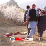 طنز هزارگی | دیدن این ویدیو ارزش خود دارد | برای حمایت از ما چینل ما را شیر و سبسکرایب کنید ????