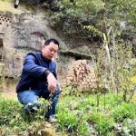 石屋金菊外送千里，花园整理迎春！