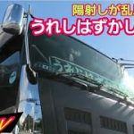 磨き込んだ輝くトラックに陽射しが乱反射して眩しすぎる‼️【デコトラ】日本貝車
