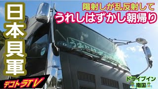 磨き込んだ輝くトラックに陽射しが乱反射して眩しすぎる‼️【デコトラ】日本貝車
